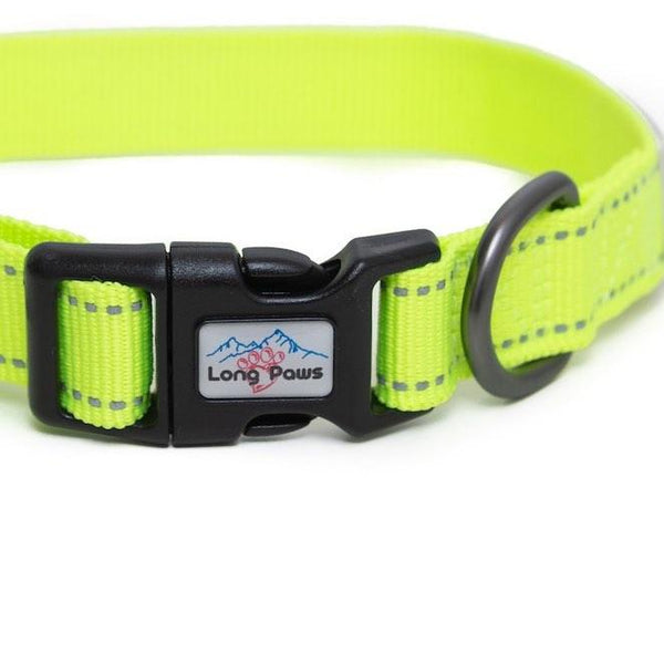 Neon Dog Collar - Long Paws