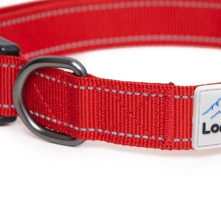 Reflective Dog Collar - Red