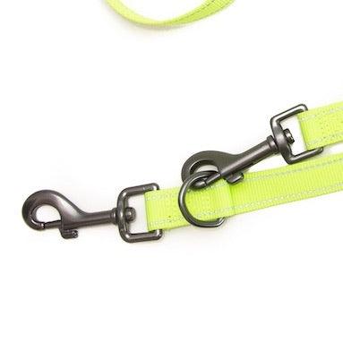 Neon Collar & Multi-function Training Lead Set - Long Paws