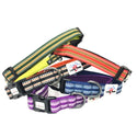 Long Paws Padded & Reflective Dog Collars