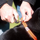 Comfort Dog Collar - Orange / Red - Long Paws