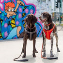 Comfort Rope Lead | TRIGGER Clip | All Black - Long Paws