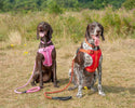 Comfort Step-in Dog Harness - Pink - Long Paws