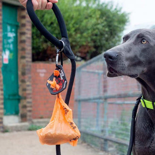 Long Paws PoopPorter - Used Poo Bag Caddie