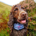 PupStretch Geo Dog Bandanas - Blue Geo - Long Paws