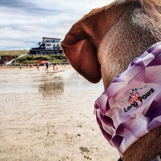 PupStretch Geo Dog Bandanas - Purple Geo