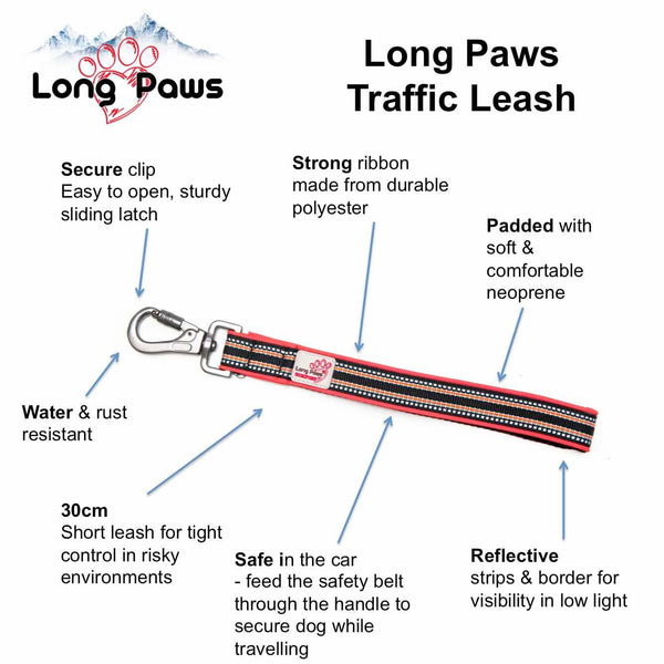 Safety Belt Strap | Close Control Lead - Long Paws