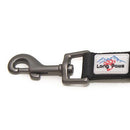 Bungee Lead Extender - Long Paws