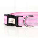 Comfort Dog Collar - Pink - Long Paws