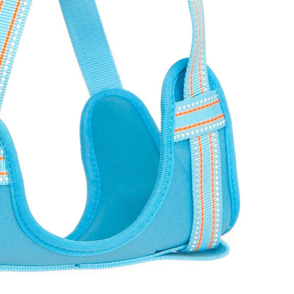 Comfort Step-in Dog Harness - Baby Blue - Long Paws