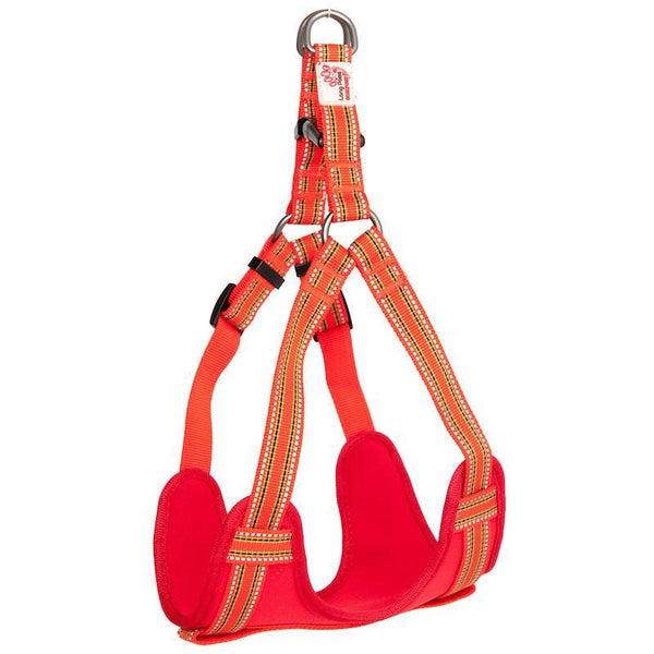 Long Paws Comfort Step-In Dog Harness - Orange