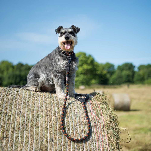 Comfort Rope Lead | SLIDE Lock | Black with Orange stripes | 30in / 75cm