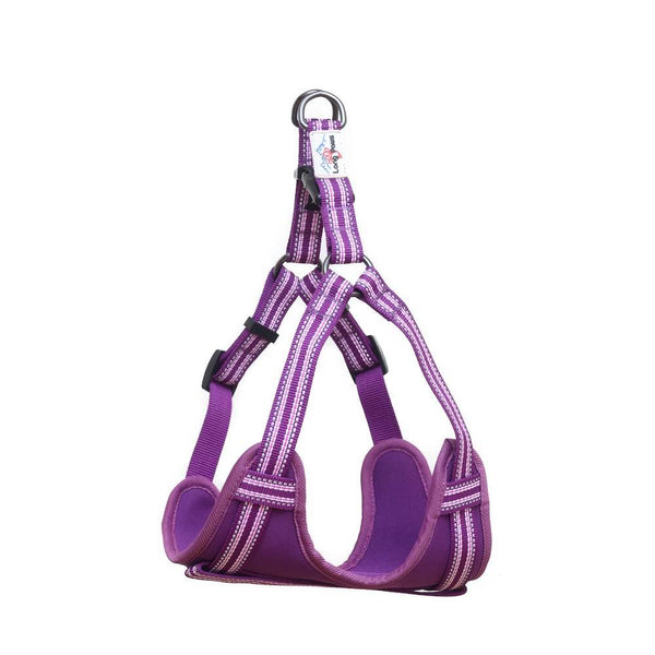 Comfort Step-in Dog Harness - Purple - Long Paws