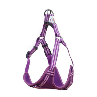 Comfort Step-in Dog Harness - Purple - Long Paws