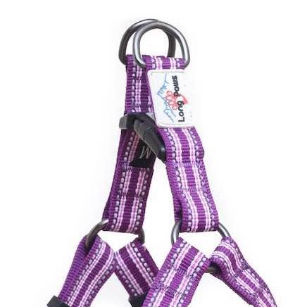 Comfort Step-in Dog Harness - Purple - Long Paws