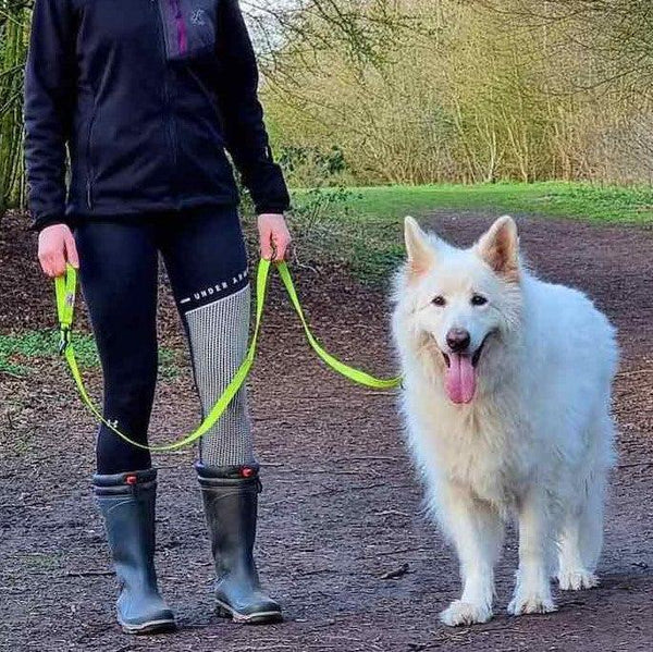 Neon Collar & Multi-function Training Lead Set - Long Paws