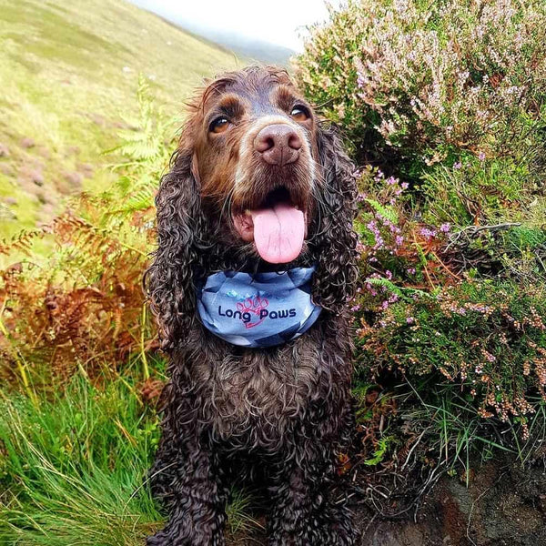 PupStretch Camo Bandanas - Citrus Army Camo - Long Paws