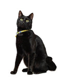 Tom & Tabby Reflective Cat Collar - Long Paws