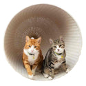 Tom & Tabby Reflective Cat Collar - Long Paws