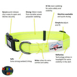 Neon Collar & Multi-function Training Lead Set - Long Paws