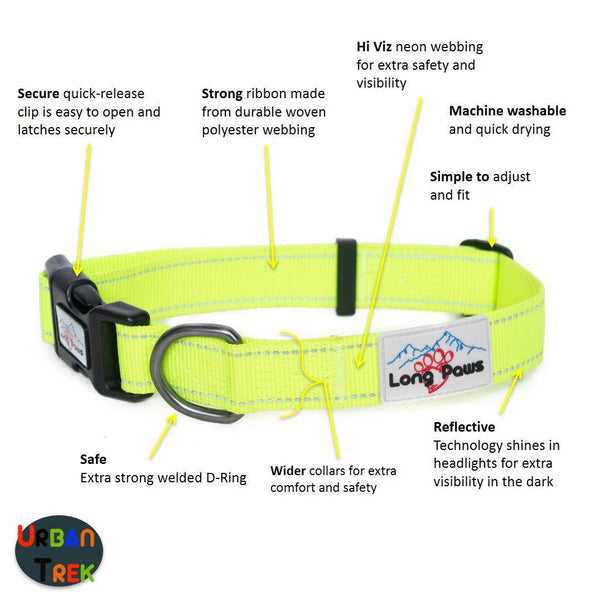 Neon Collar & Multi-function Training Lead Set - Long Paws